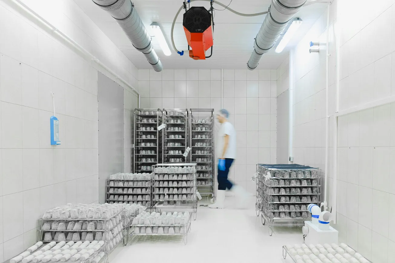 A technician in protective gear and hairnet walks past racks of lab containers in a sterile white room with bright lighting and ventilation ducts.
