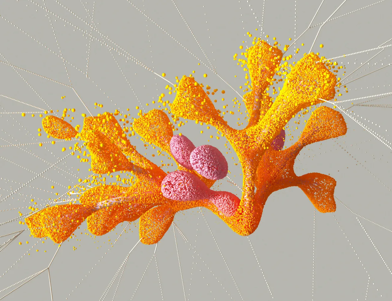 Abstract image of vibrant orange and pink organic shapes covered in textured dots.