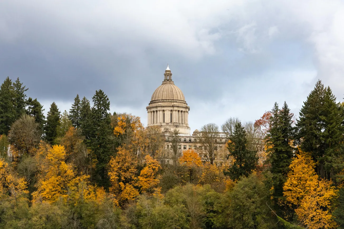 Dome of the U.S. Capitol peeks over autumnal trees with yellow and orange leaves, under a cloudy sky, evoking a serene, historic atmosphere.