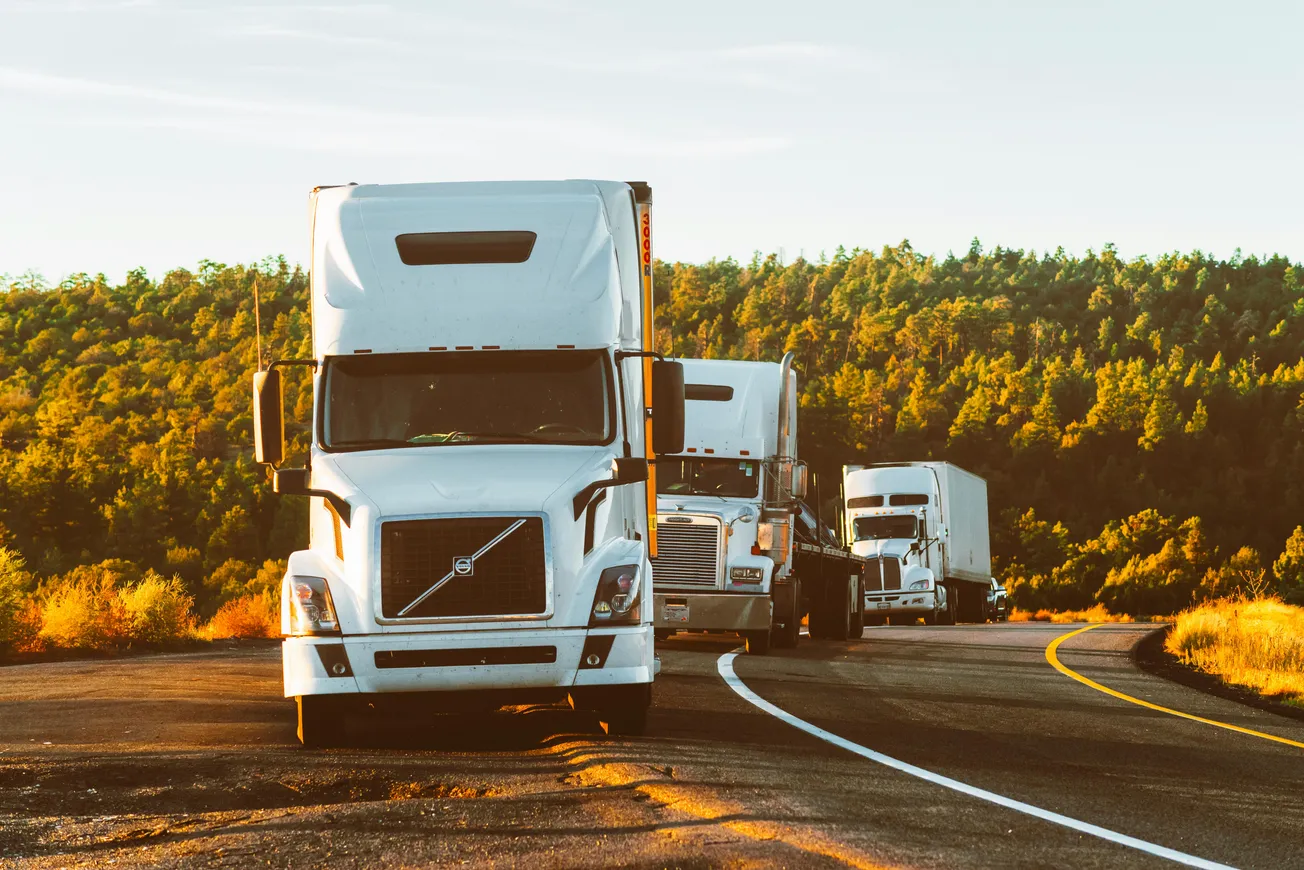 Three white semi-trucks are parked on a curving road surrounded by dense green forest, casting long shadows in the warm glow of sunset.