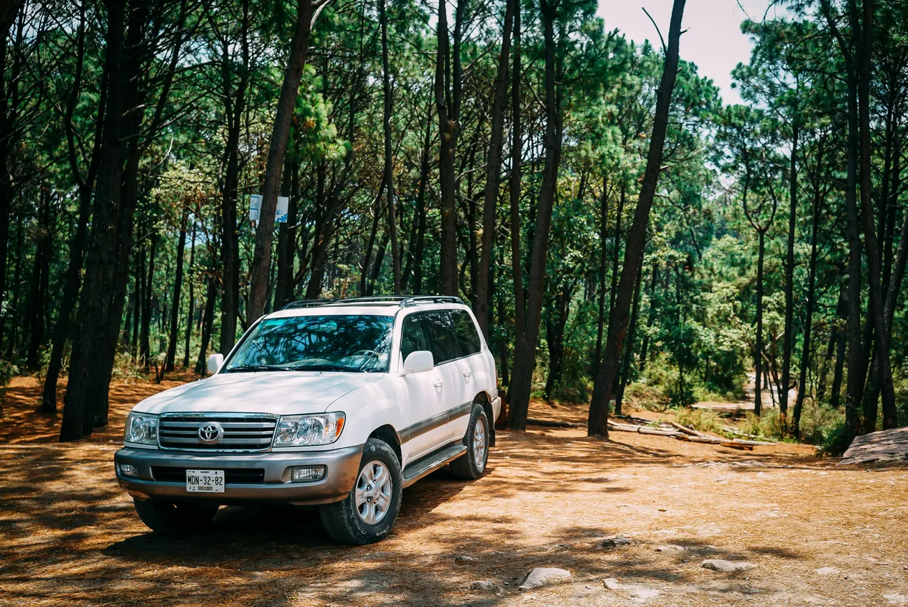 A white SUV is parked among tall pine trees in a sunny forest clearing, casting soft shadows. The scene evokes a sense of adventure and tranquility.