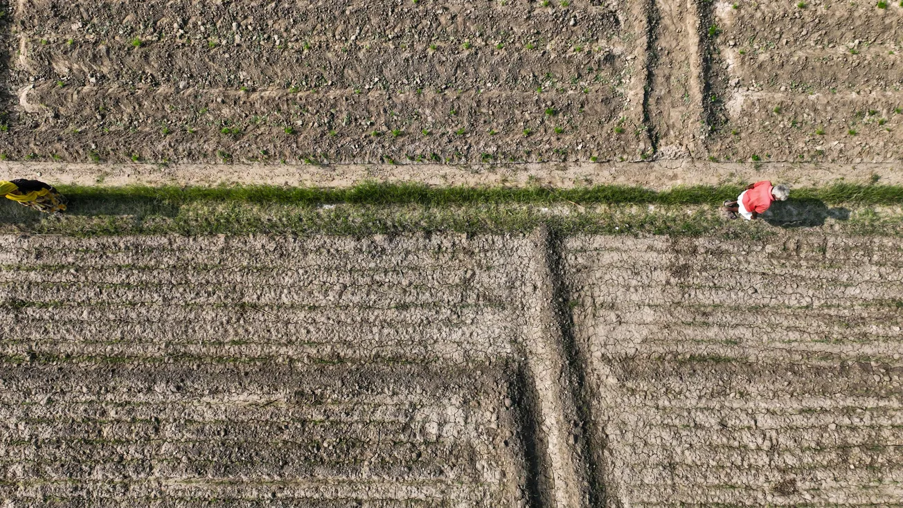 Aerial view of farmland with a dry, brown landscape and green patch pathways. Two people walk along the path, one in pink, conveying a sense of solitude.
