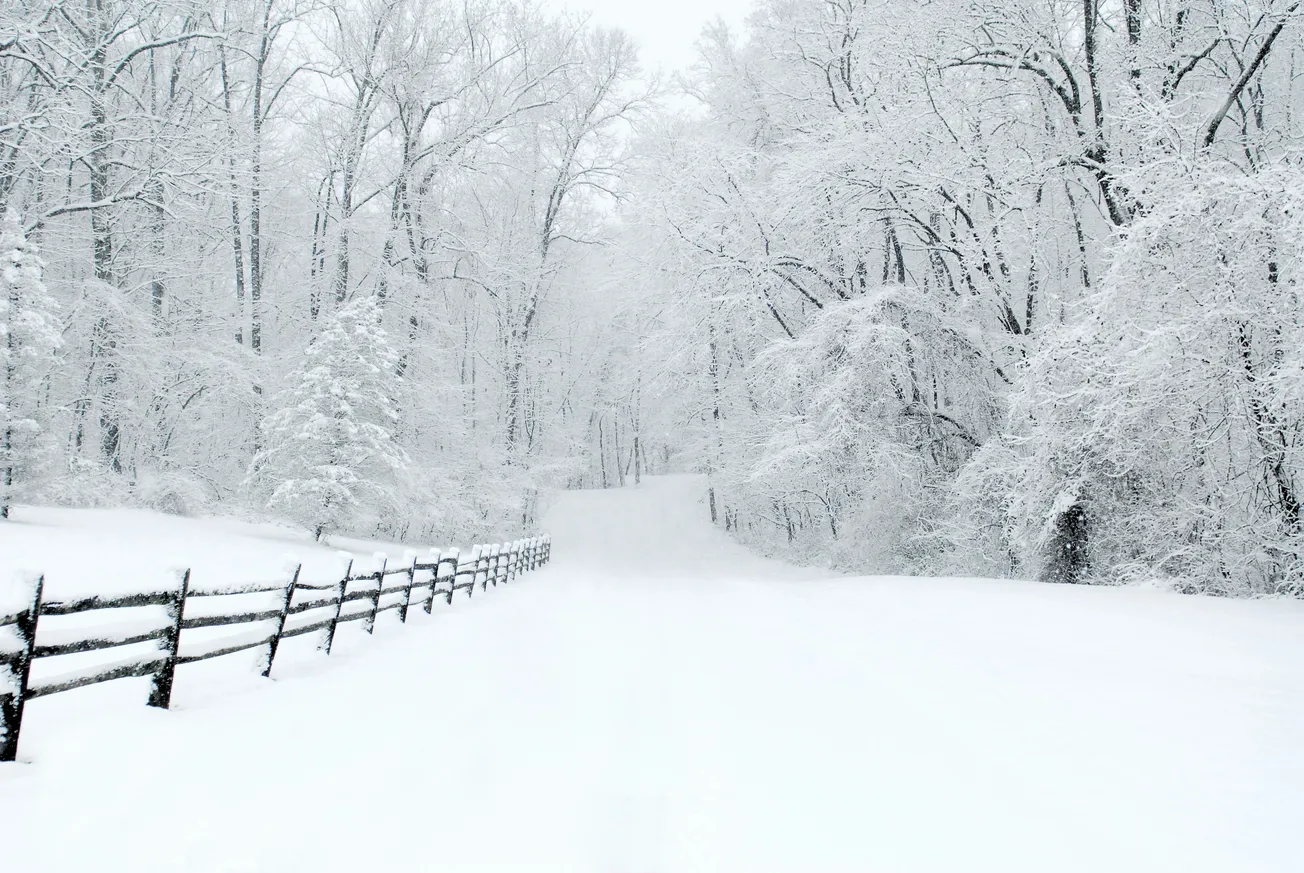 Snowy landscape with a serene winter road flanked by a wooden fence and trees dusted with snow, creating a peaceful, pristine atmosphere.
