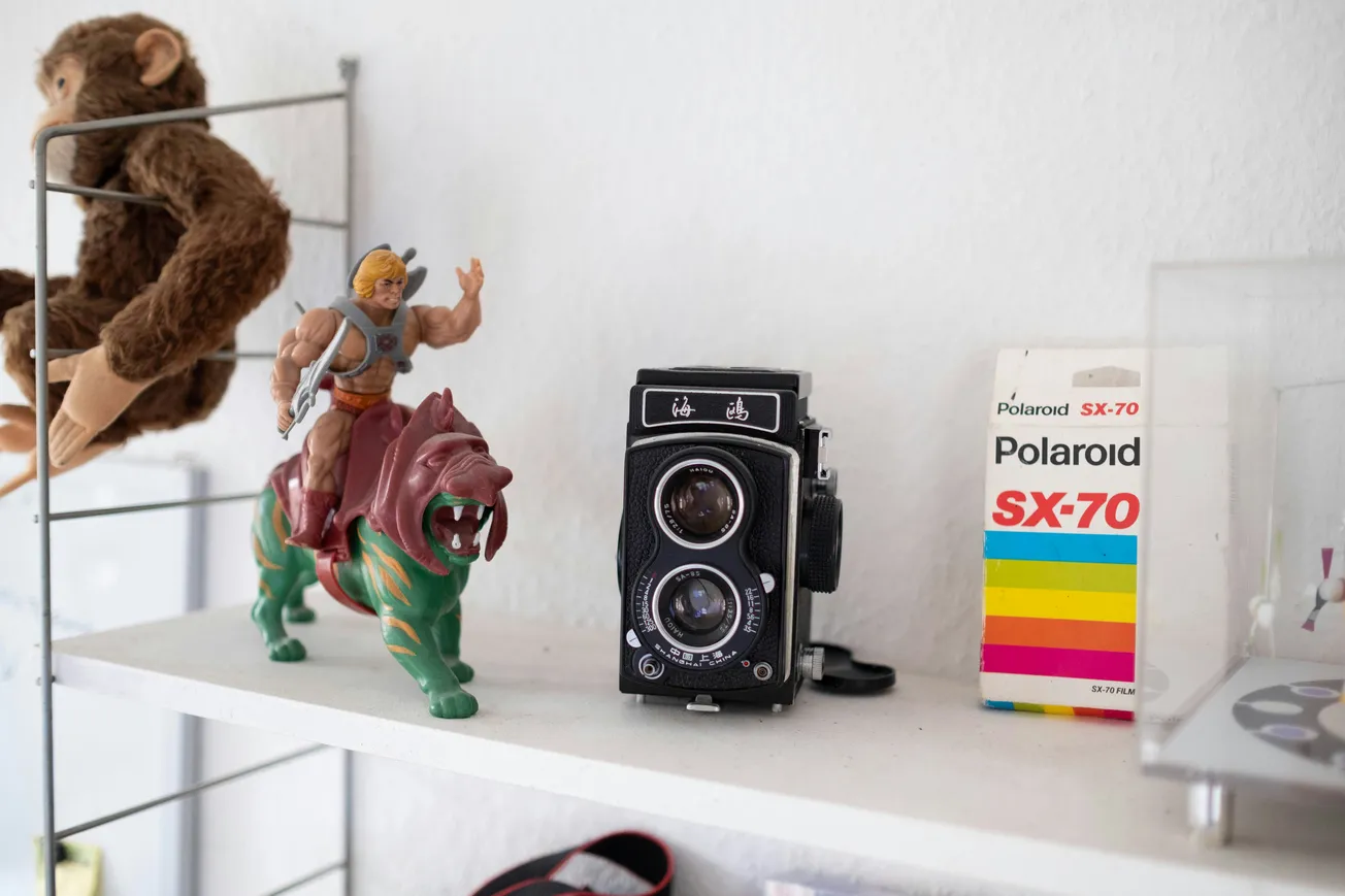 Shelf with a He-Man toy on a green tiger, vintage camera, and Polaroid SX-70 film box. A plush monkey is visible on the left. Retro and nostalgic.