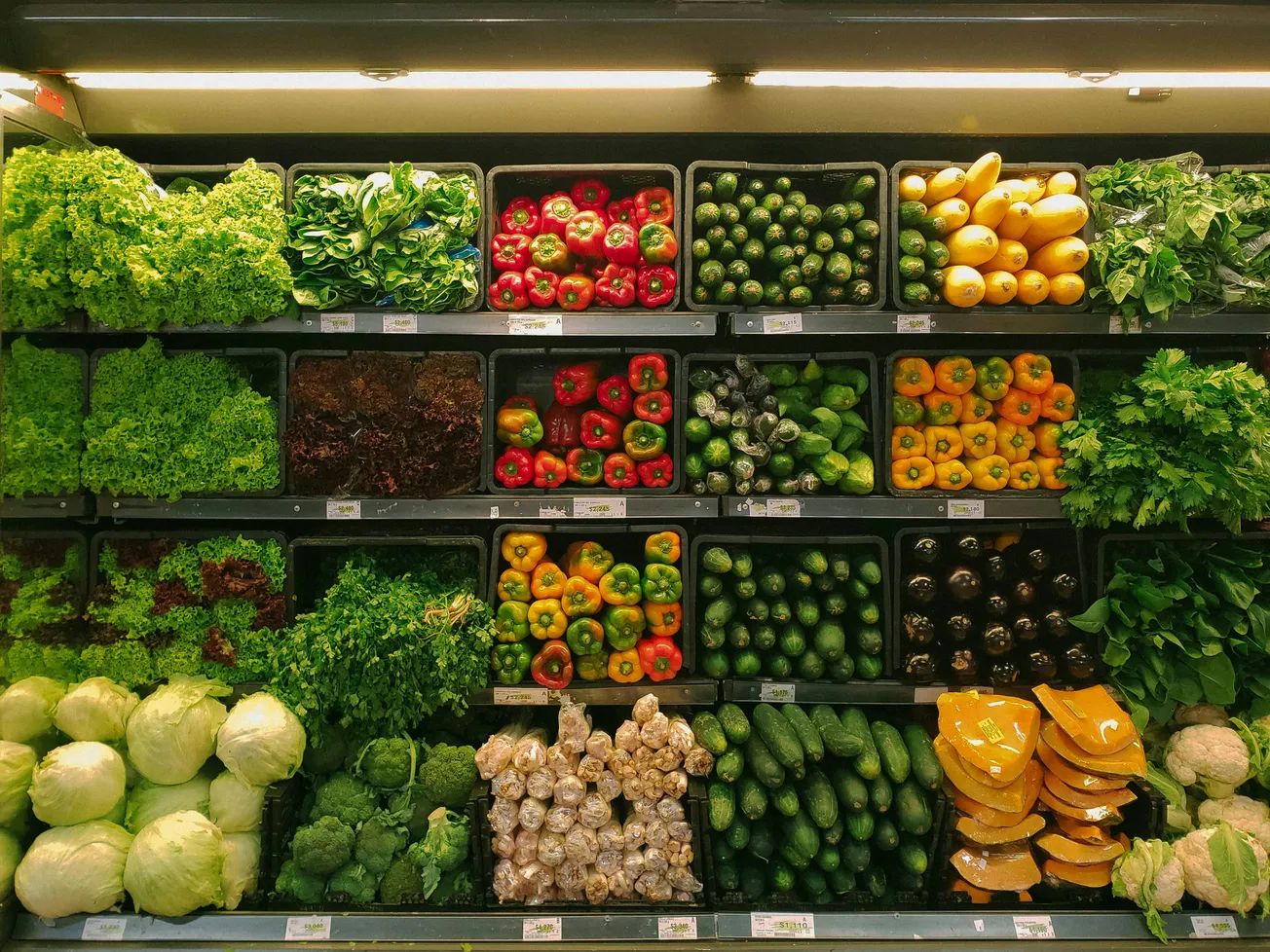 A grocery store display features vibrant, neatly stacked vegetables, including peppers, zucchini, lettuce, and squash, creating a fresh, colorful scene.