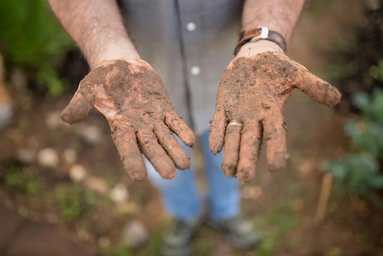 A person extends their hands, covered in earthy soil, conveying a sense of hard work in nature. Background shows blurred plants and path, suggesting gardening.