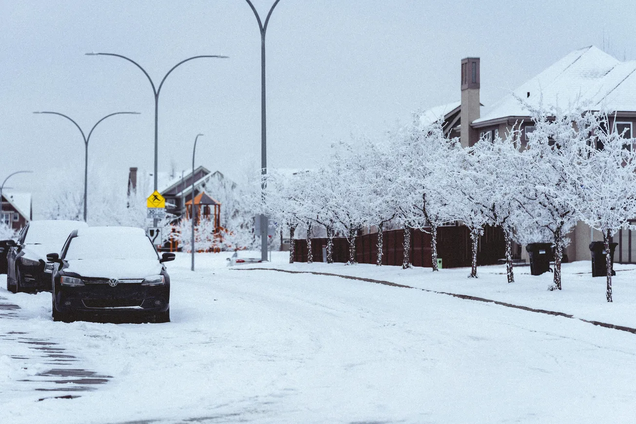 Snow-covered street scene with parked cars and leafless trees blanketed in white. Houses line the road under a cloudy sky, evoking a serene winter atmosphere.