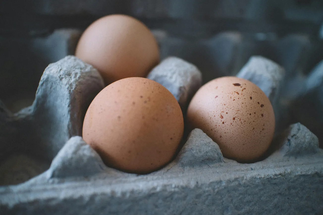 Three brown eggs rest in a gray cardboard carton. The lighting is subdued, creating a rustic and natural tone. The eggs have speckled shells.