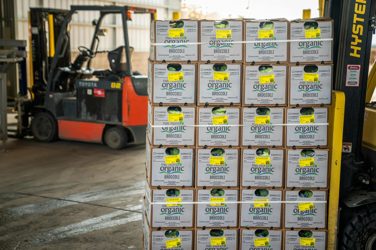 Stacked boxes labeled "organic broccoli" on a forklift in a warehouse, conveying efficiency and organization in produce logistics.