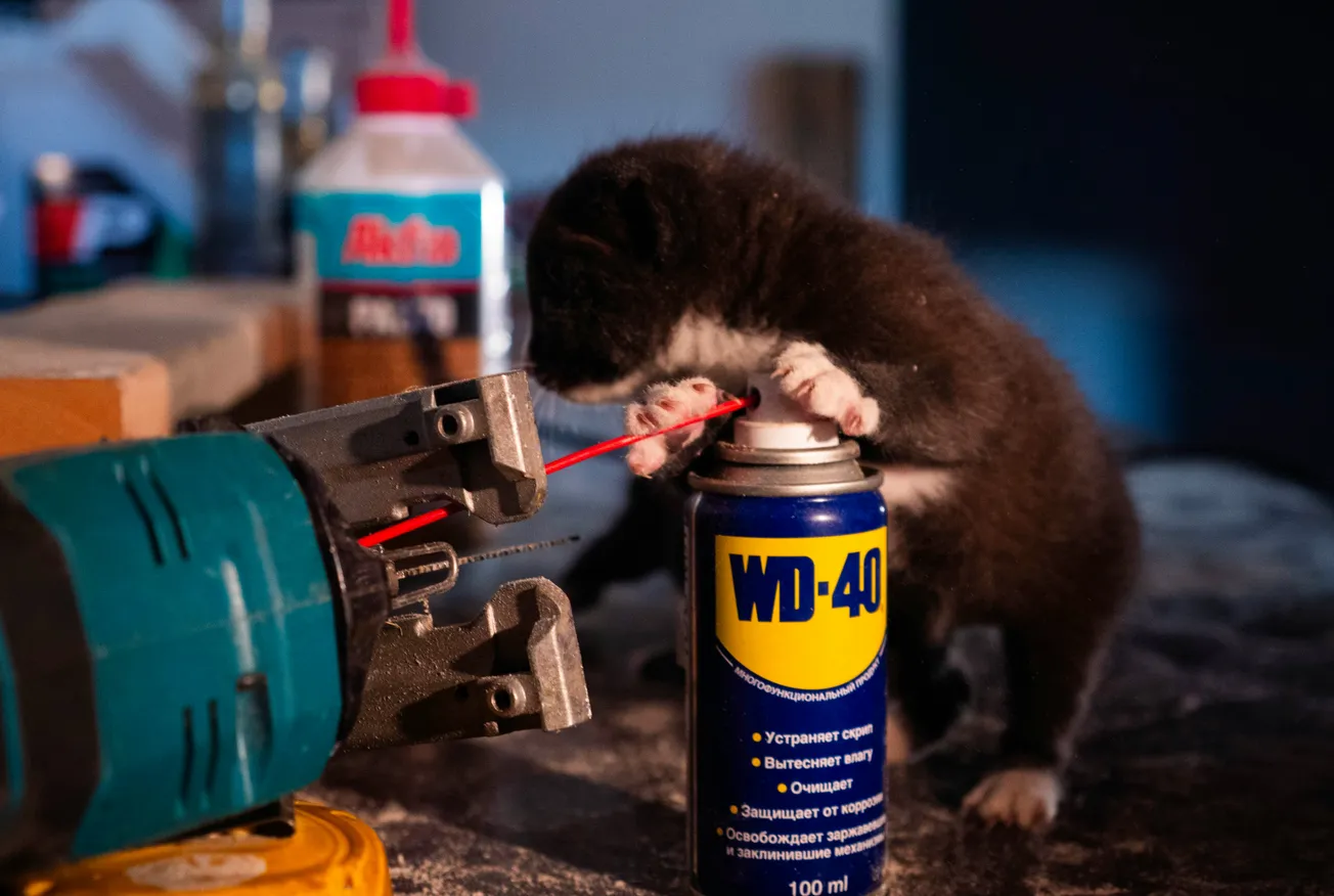 A small black and white kitten playfully interacts with a can of WD-40, pressing the straw nozzle. Tools and glue bottle in blurred background. Cute and curious tone.