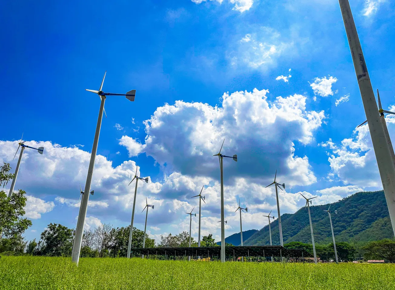 Wind turbines scattered across a lush green field under a bright, blue sky with fluffy clouds and distant mountains; a serene, sustainable energy scene.
